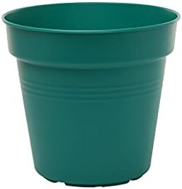 Mintra Garden Pots, 4 Pack Bulk Plastic Plant Pots with Drainage Tray, Round Indoor & Outdoor Decorative Planters with Drain Holes for Flowers, Herbs & Plants, 15cm Diameter – Forest Green, 5.9 in