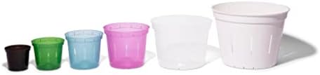 rePotme Orchid Pot Growers Assortment (8 Slotted Clear Orchid Pots - 2 Each of 3, 4, 5, 6 Inch) - Premium Orchid Planters, Orchid Pots with Holes for Repotting