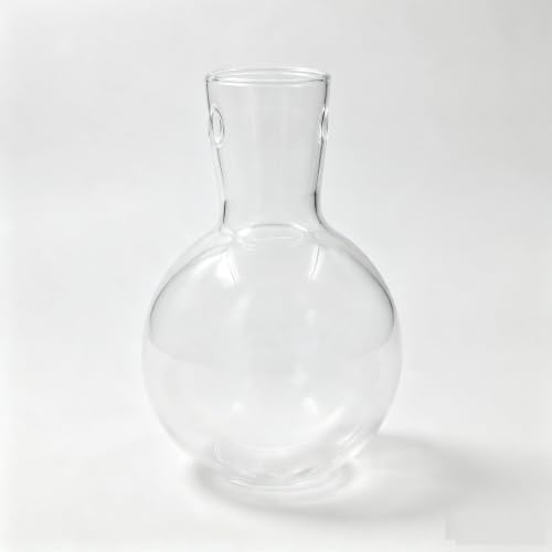 Propagation Station Accessories,2 Pack with Holes Glass Bulb vases