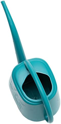 Bloem Aqua Rite Watering Can: 56 Oz - Bermuda Teal - Large Capacity, Extra Long Spout, Durable Plastic, One Piece Construction, for Indoor & Outdoor Use, Gardening