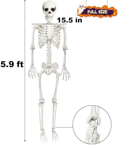5.9FT Skeleton Halloween Full Size, Life Size Skeleton with Posable Joints