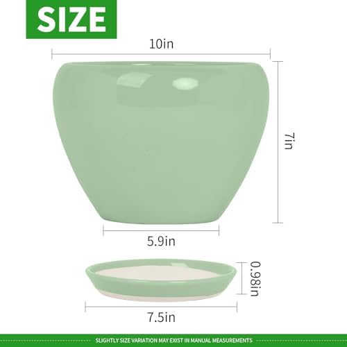 Deep Dream 10 Inch Plant Pot- Ceramic Planter Pot Round Plant Pots for Indoor Plants Outdoor Large Flower Pot with Drainage Holes & Trays, Mint Green