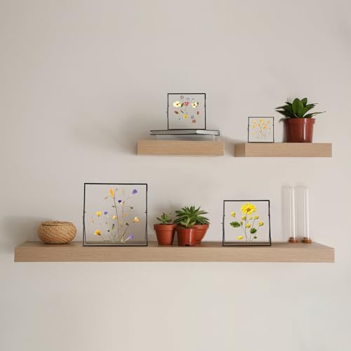 REDHUGO Double Glass Frame for Pressed Flowers, Square, Black, 6x6 Inches
