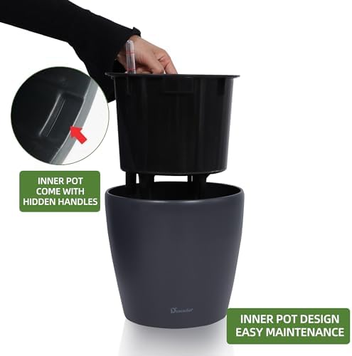 Dexceder 9x8 Self Watering Planter (Slate Gray Matte)