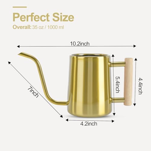 Watering Can Indoor Plants, 35 oz/1000 ml Metal Stainless Steel Watering Can Pot with Long Spout for Indoor House Plants Bonsai Outdoor Garden Flower Decorative (Gold)
