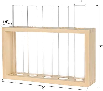 Wooden Propagation Station with 5 Glass Test Tubes, Tabletop Glass Terrarium Holder for Plant Cuttings Hydroponics, Home Office Desk Decor Gift for Women Mom Plant Lovers, Beige