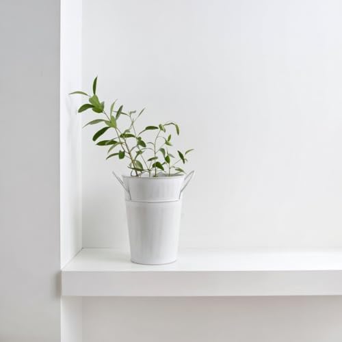 Hosley Set of 2 White Wash Finish Bucket/Pot Vase with PVC Liner, 5" Dia x 7" H Ideal Gift for Floral Arrangements Wedding Home Office Party DIY Indoor Outdoor Garden Patio (Pack of 2)