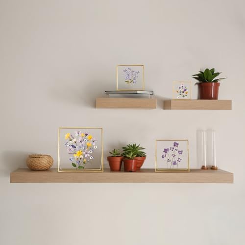 REDHUGO Double Glass Frame for Pressed Flowers, Square, Gold, 4x4 Inches