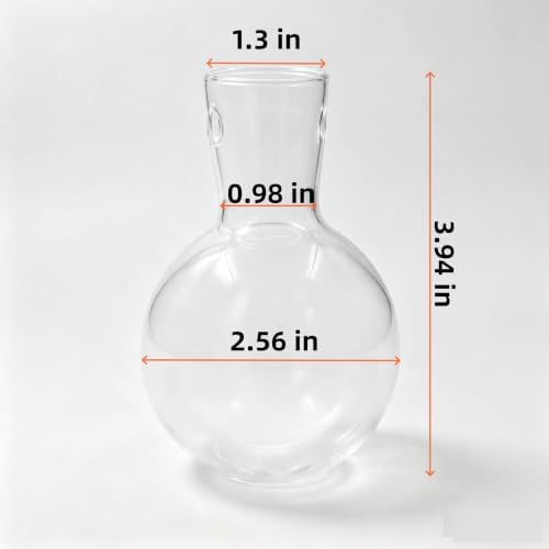 Propagation Station Accessories,2 Pack with Holes Glass Bulb vases