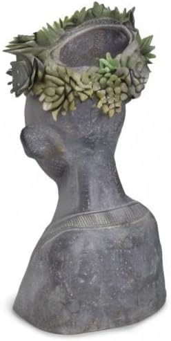 Newman House Studio Face Cactus Succulents Planter Pot - Indoor Outdoor Planter with Drainage Hole Garden Statues Cute