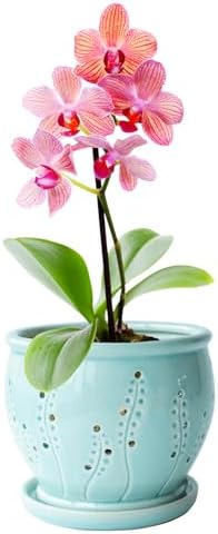 Orchid Pot 6.3 Inch, Orchid Pots with Holes & Saucer, Orchid Pot for Repotting, Beatiful Ice Cracked Glaze Ceramic Plant Pot Indoor Planter, Breathable Slotted Orchids Planter(Water Blue)