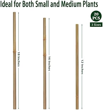 Plant Stakes,12IN Natural Garden Bamboo Sticks, 20Pcs Plant Support Stakes