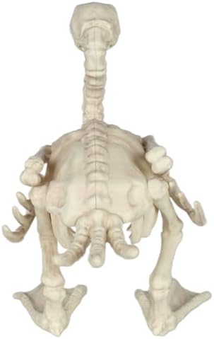Seasons 11" Skeleton Duck Halloween Decoration
