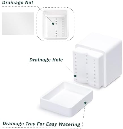 D'vine Dev 2-Pack Plastic Herb Planter Pots, 4 in, White, 76-Y-A2-1