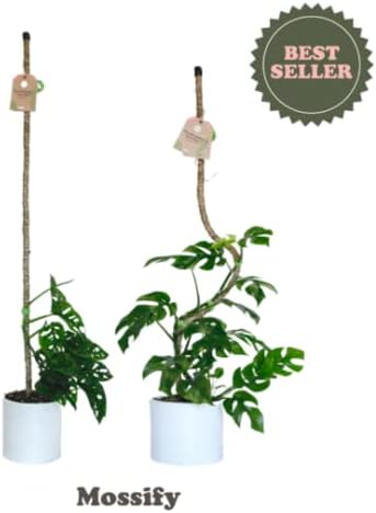 Bendable Coir Pole for Climbing Plants, Sturdy, 30 in | Shapeable Steel Core Wrapped in Natural Manila, Monstera