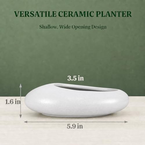Flower Frog Vase Kit – Japanese-Inspired Arita-Style Glazed Ceramic Ikebana Vase with Kenzan & Gift Box, for Floral Arranging, Home & Office Decor, Relaxing Ambience (White Small)