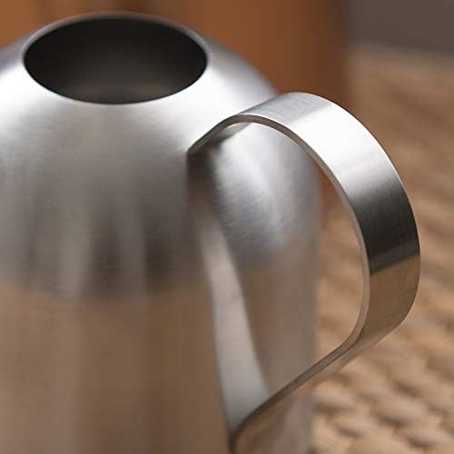 Watering Can for Indoor Plants, 450ml/15oz Stainless Steel