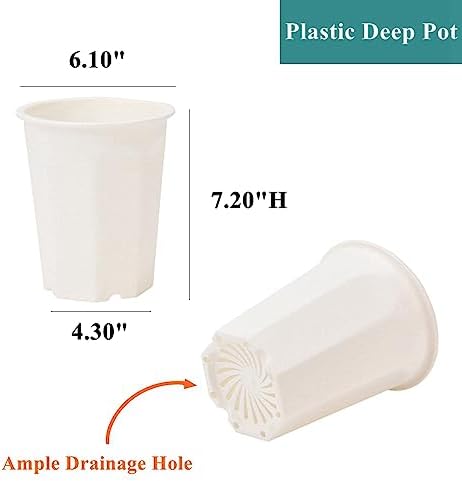 8 Pack 6.10 Inch White Plastic Deep Nursery Pot and Seedling Planter for Succulent, Cutting, Transplanting