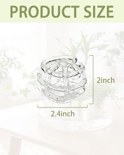 Modern Glass Flower Frog,Floral Stem Holder with Irregularly Ring Design
