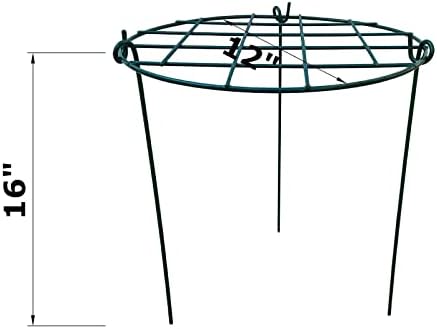 10 Pack 12 x 16 inch Poeny Cage Grow Through Grid Plant Brace Flower Support Rings,Round Metal Plant Stakes Rings, Strong Large Garden Supports for Flowers, Peonies, Rose, Lily