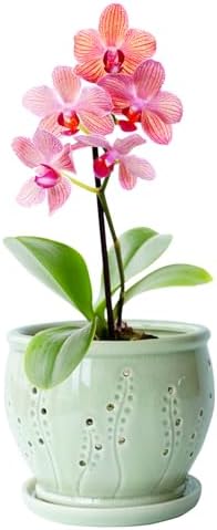 Ceramic Orchid Pot 6.3 Inch, Orchid Pots with Holes, Large Plant Pot for Repotting, Ventilation Holes Breathable for Roots, Durable Ice-Cracked Glaze Ceramic Planter Pot (Grass Green)