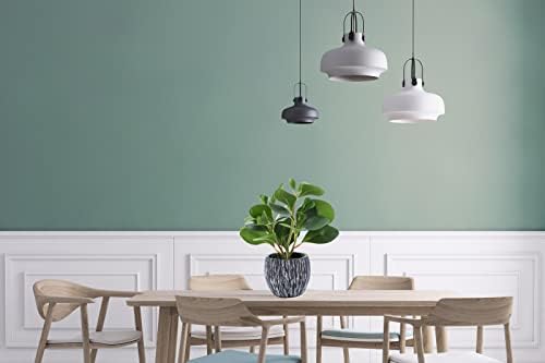 AlphaAcc Fake Faux Fiddle Leaf Fig Cement Planter Housewarming Desk Decor