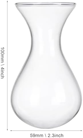Plant Propagation Station Accessories, 2 Pack Glass Hyacinth vase