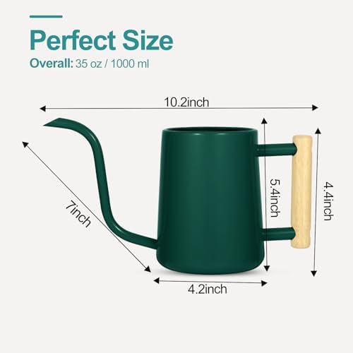 Watering Can Indoor Plants, 35 oz/1000 ml Metal Stainless Steel Watering Can Pot with Long Spout for Indoor House Plants Bonsai Outdoor Garden Flower Decorative (Alpinegreen)
