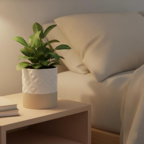 Nihow Ceramic Self Watering Plant Pot for Indoor Plants, 6 Inch,Cream White