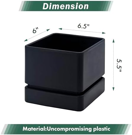 D'vine Dev Plastic Herb Planter Pot, 6 in, Black, 76-Y-B1-2