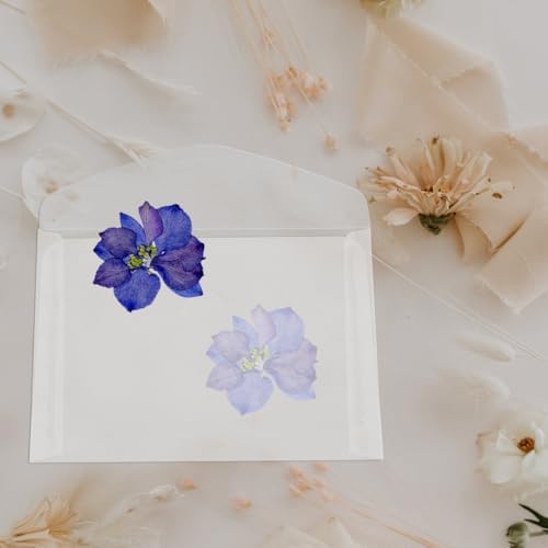 ARTIBETTER 20 Pcs Flower Pressing Bags Extra Sturdy Recyclable Paper Leaf Press Bags with Even Pressure Distribution