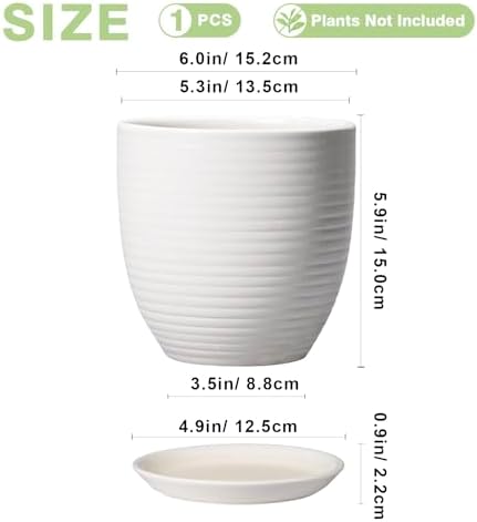 Ceramic Pots for Plants - 6 Inch Plant Pot with Drainage Hole and Saucer, Round Planters for Indoor Outdoor, Flower Pots, Modern Planter, Home Office Room Decor, Gifts for Plant Lovers, White