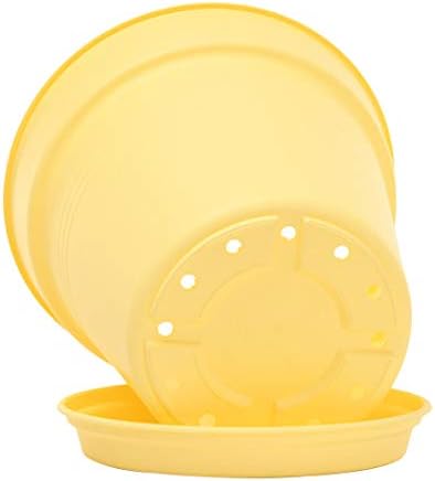 Mintra Garden Pots, 4 Pack Bulk Plastic Plant Pots with Drainage Tray, Round Indoor & Outdoor Decorative Planters with Drain Holes for Flowers, Herbs & Plants, 13cm Diameter – Yellow, 5 in