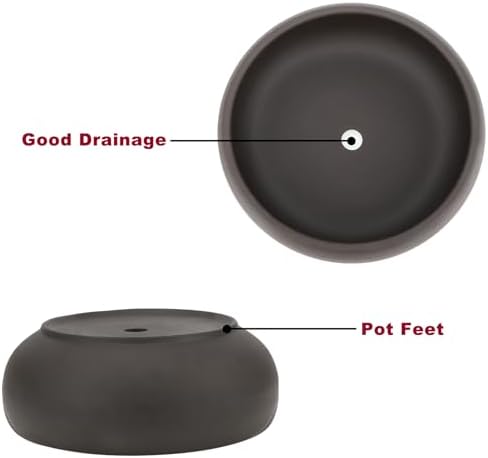 Bonsai Pot 8" Unglazed Round Ceramic Succulent Planter + Drainage Screen