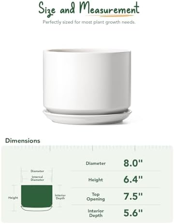 LE TAUCI 8 Inch Plant Pot, Ceramic Pots for Plants, White