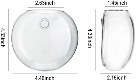 Wall Hanging Planter Propagation Station, Oblate Glass Flower Vase for Propagation, Wall Planter for Indoor Plants, Modern Home Office Corridor Bathroom Decor (2)