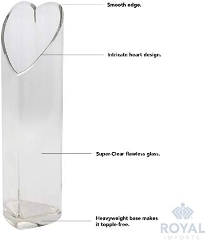 Royal Imports Heart-Shaped Glass Flower Vase 12" Tall, 3"x4" Opening