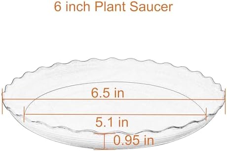 6 Pack Plant Saucer, 6 inch Plant Trays for Pots, Heavy Duty Plant Saucers for Indoors no Holes, Plastic Plant Saucer for Planter (6", Black)