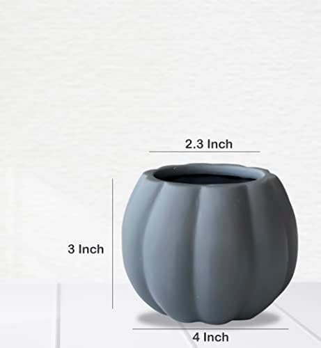 Set of 3 Ceramic Miniature Pumpkin Succulent Pots with Drainage Hole3x4x2.3
