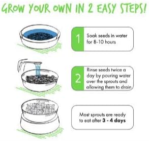 Handy Pantry Complete Sprouts Growing Kit | Sprouting Kit with 3 Stackable Sprouting Trays | Seed Sprouter, BPA-Free