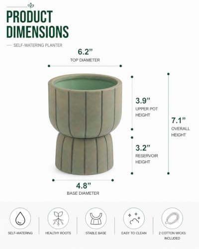 Self Watering Pots for Indoor Plants, 6 Inch Ceramic African Violet Pot