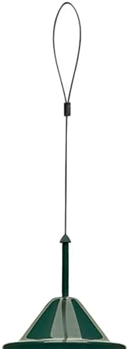 Squirrel Buster Classic Squirrel-proof Bird Feeder w/4 Feeding Ports, 2.4-pound Seed Capacity
