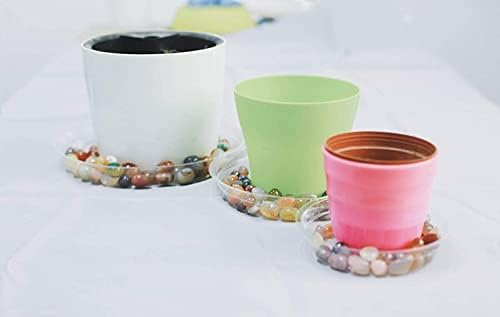 TRUEDAYS 20 Pack 6 Inch Plant Saucers Clear Plant Saucers Flower Pot Plastic Drip Trays Excellent for Indoor & Outdoor Plants