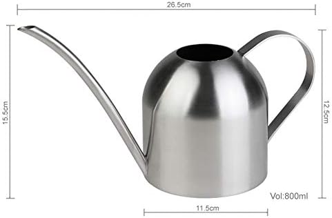Watering Can for Indoor Plants, 30oz Long Spout Stainless Steel