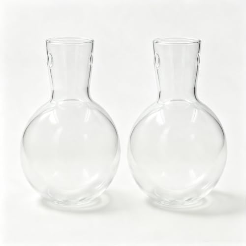 Propagation Station Accessories,2 Pack with Holes Glass Bulb vases