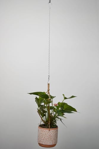 Chain for Hanging Plants,25 Inch Hanging Chain (Silver, 25 Inch-4PCS)