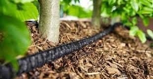 Rocky Mountain Goods 50 Foot Flat Weeper Soaker Hose (Pack of 2) - Drip Irrigation - Double Layer Design - Saves 70%