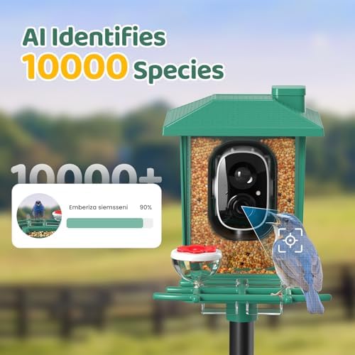 Bird Feeder with Camera Outdoor Solar: Smart Birdfeeder with AI Recognition - 2K HD Live Stream Video Camera for Outside Wild Birds Garden Decor - Bird Lover Gifts