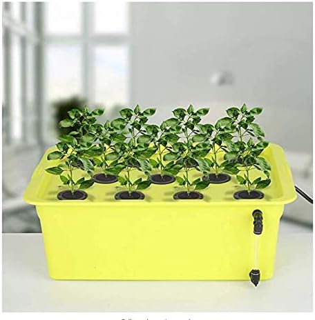 SUCOHANS 200 PCS Cloning Collars Inserts Premium Grade Foam | Fits 2'' Net Cups Cloner Collars for Hydroponics Plant
