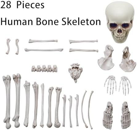 1 Bag of 28 Pieces Life Size Skeleton Bones Halloween Decorations Outdoor Indoor, Fake Plastic Human Skull Bones for Outside Inside Halloween Party Haunted House Graveyard Decor